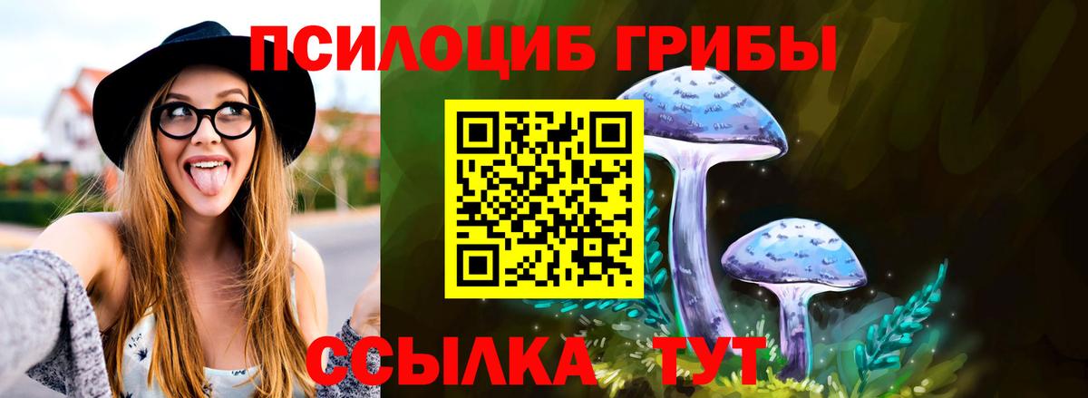 Галлюциногенные грибы GOLDEN TEACHER Кумертау